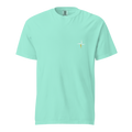 Unisex Garment-Dyed Heavyweight T-Shirt | Comfort Colors 1717