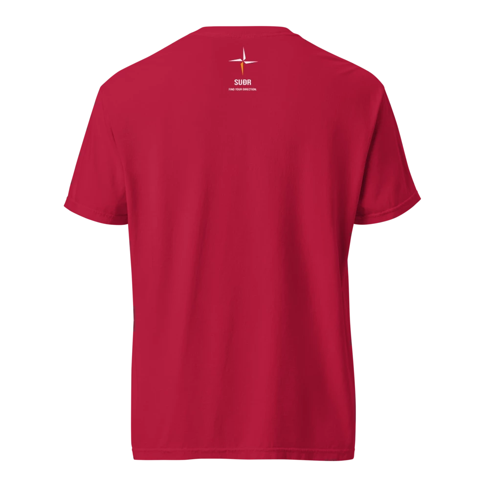Unisex Garment-Dyed Heavyweight T-Shirt | Comfort Colors 1717