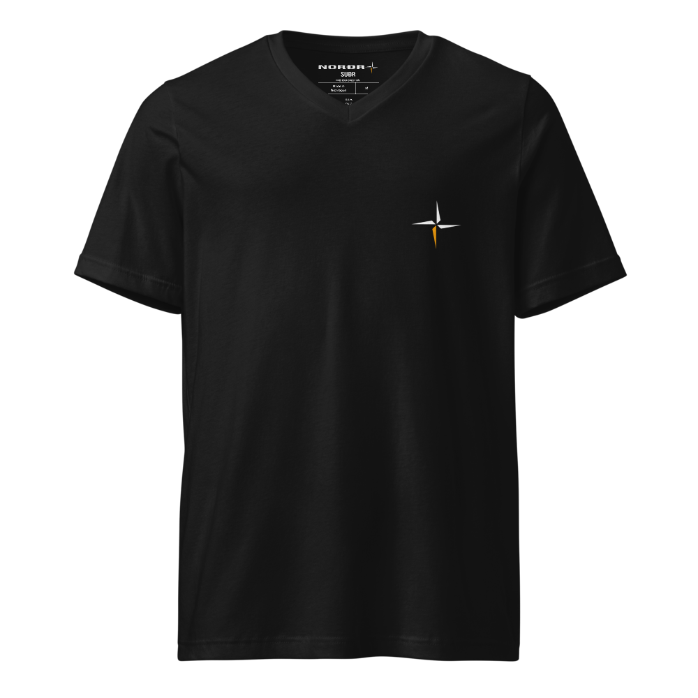 Unisex V-Neck Tee | Bella + Canvas 3005